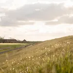 Daire Gulfhof Polder72 Polder72 9 Hikka