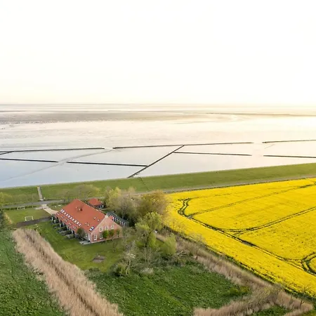 Gulfhof Polder72 9 Hikka Lägenhet