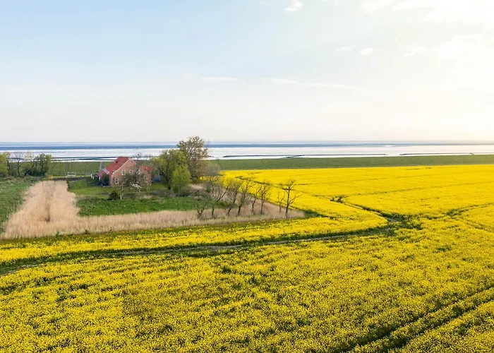 Gulfhof Polder72 Polder72 9 Hikka Apartman Dornum